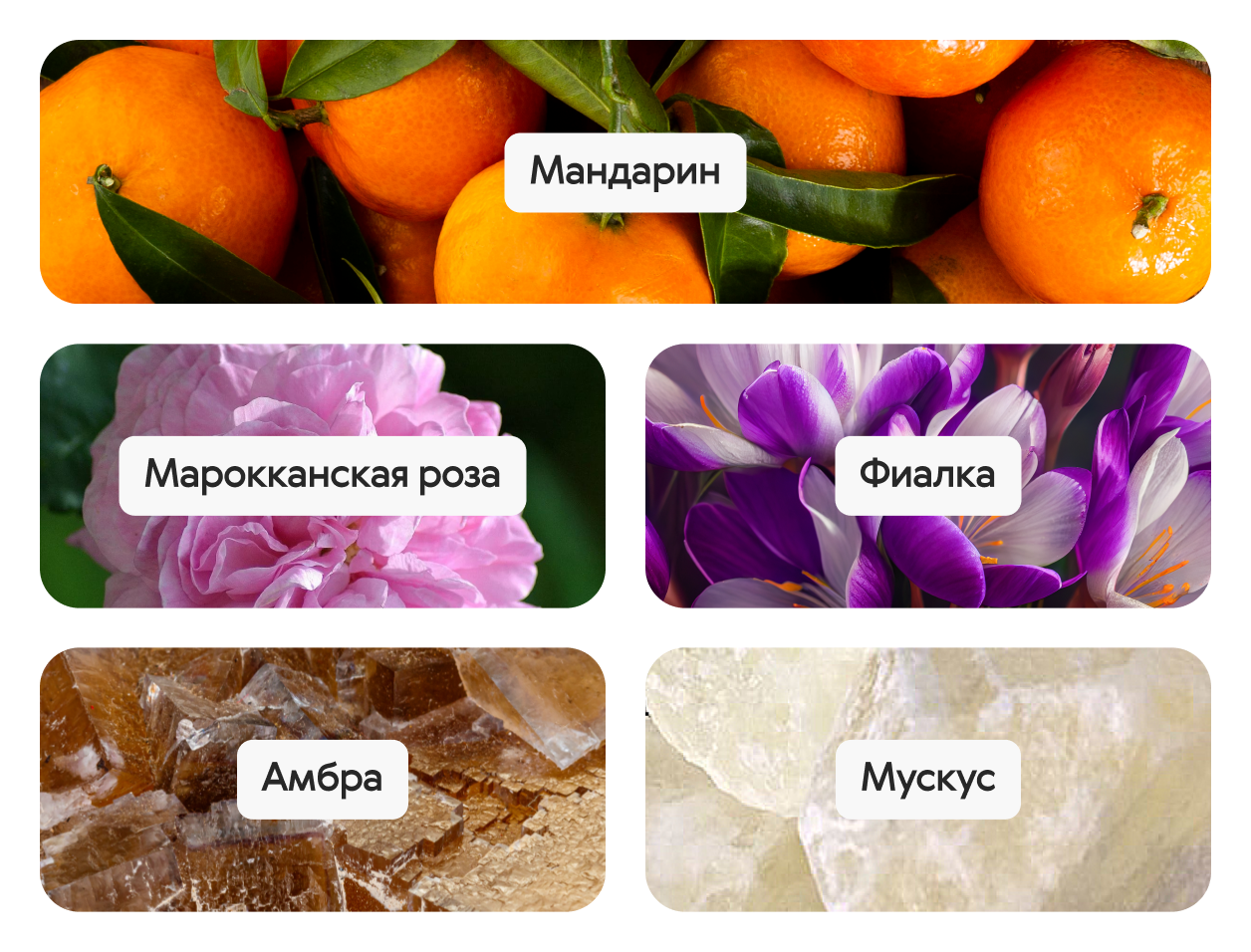 Коллекция ароматов Ciel - Arc-en-Ciel Pink, парфюмерная вода